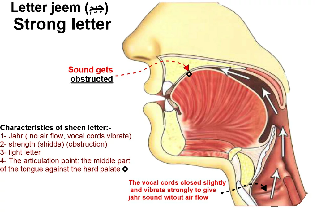 tajweed-rules-with-pictures-examples | letter jeem