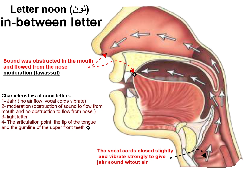 articulation point of letter Noon