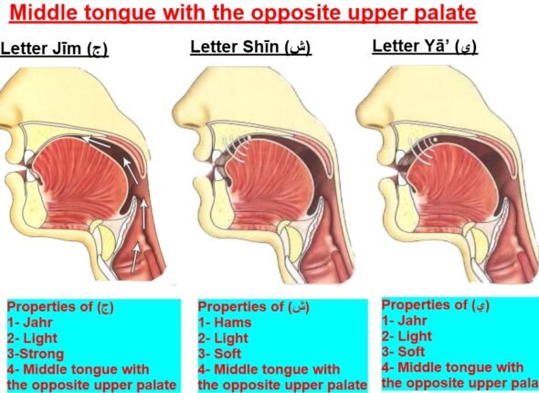articulation point of letter jeem and sheen and yaa