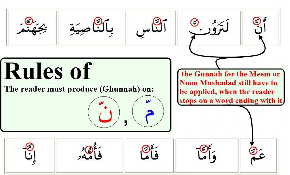 noon and meem mushaddad examples